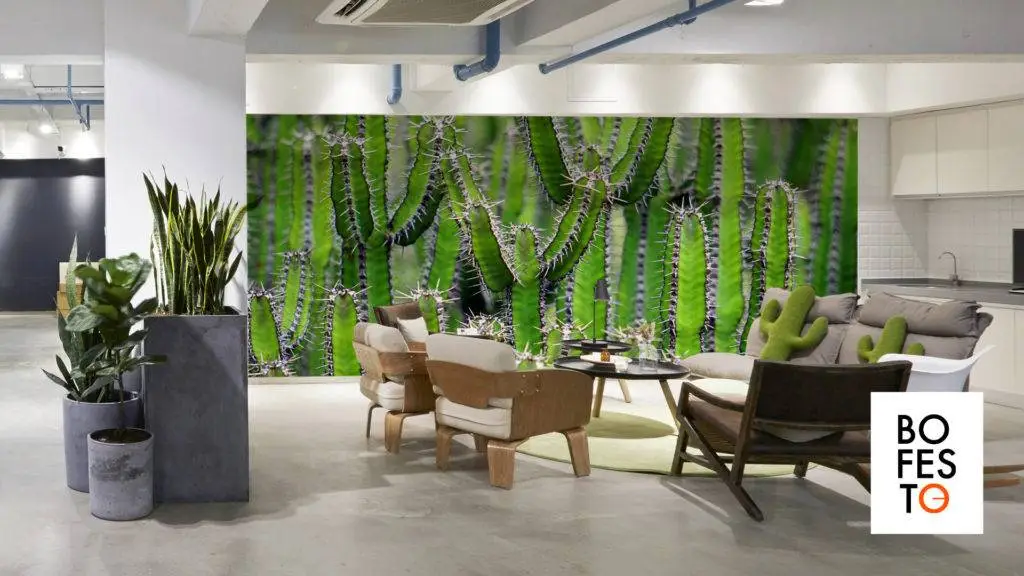 kantoor met cactus akoestiek bofesto