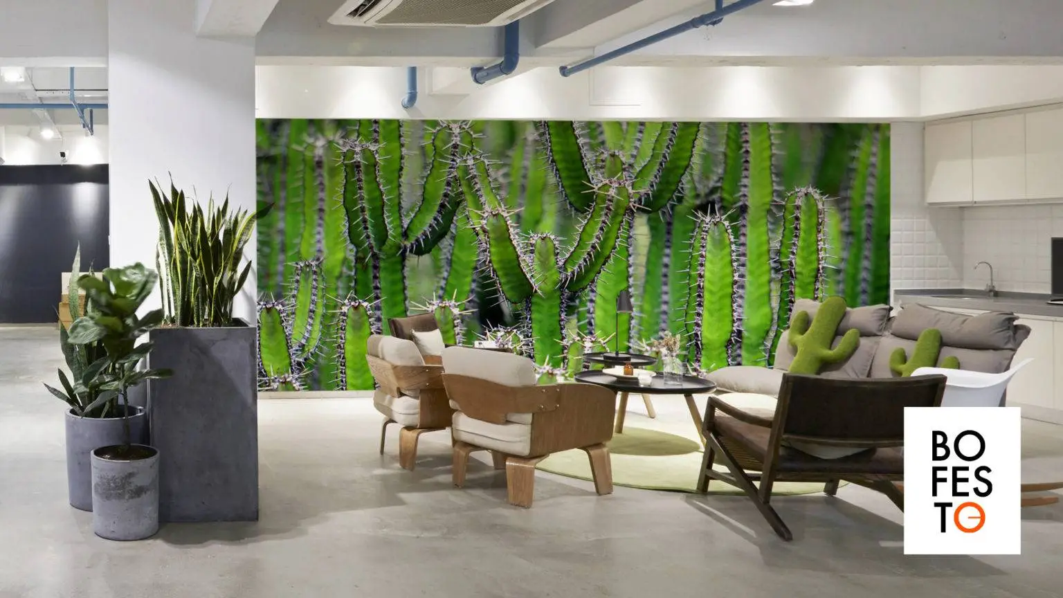 kantoor met cactus akoestiek bofesto